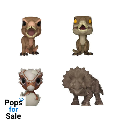 Jurassic World Pocket Pocket POP! Vinyl Figure Amber PDQ Display (12) 4 cm