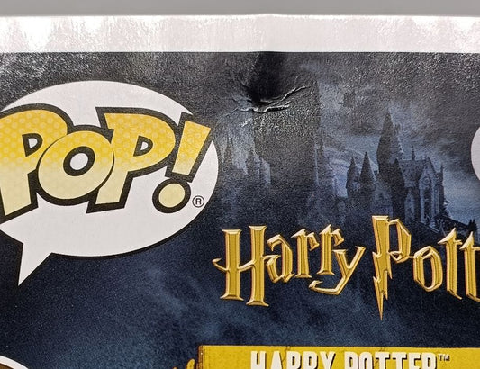 #32 Harry Potter (w/ Prophecy) - Harry Potter - Box Damaged Funko POP