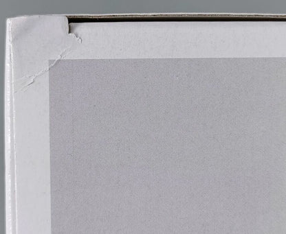 #95 Montez Ford - Street Profits - WWE - Box Damaged Funko POP