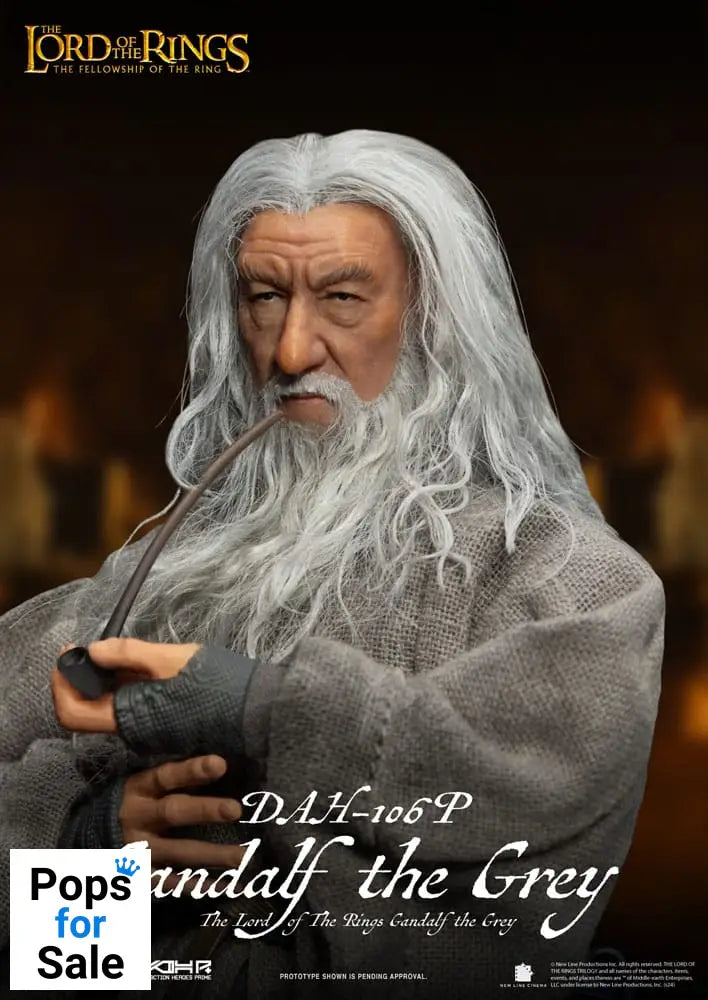 Lord of the Rings Dynamic 8ction Heroes Action Figure 1/9 Gandalf the Grey 21 cm Action figures