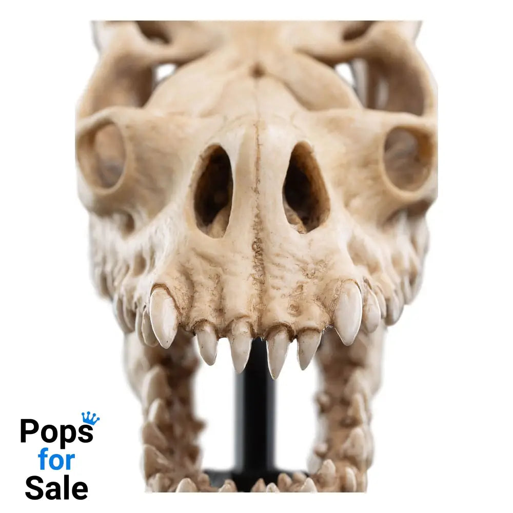 Lord of the Rings Mini Statue Skull of a Fell Beast 21 cm