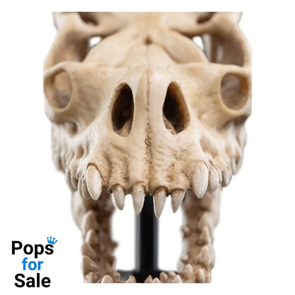 Lord of the Rings Mini Statue Skull of a Fell Beast 21 cm