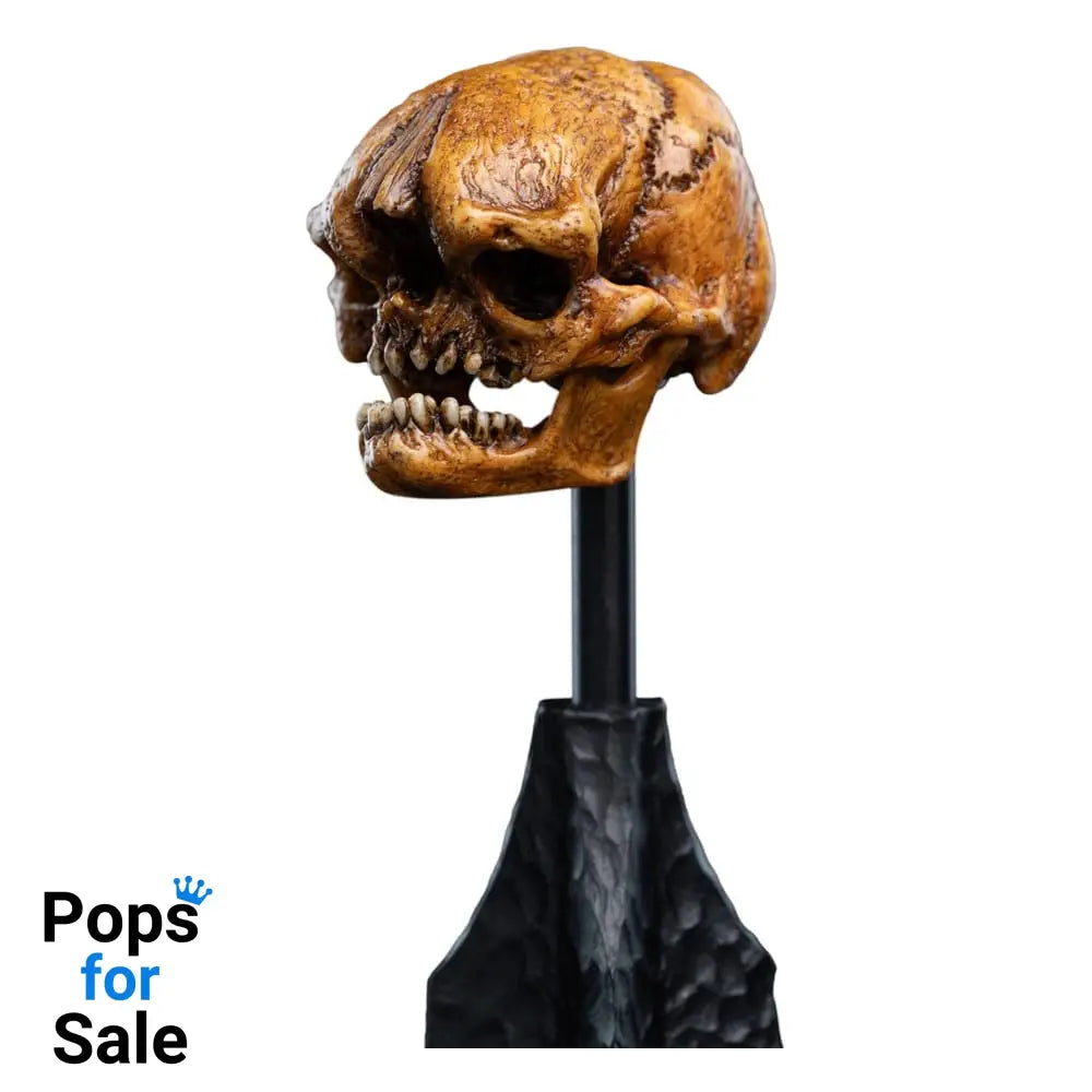 Lord of the Rings Mini Statue Skull of a Misty Mountain Goblin 14 cm