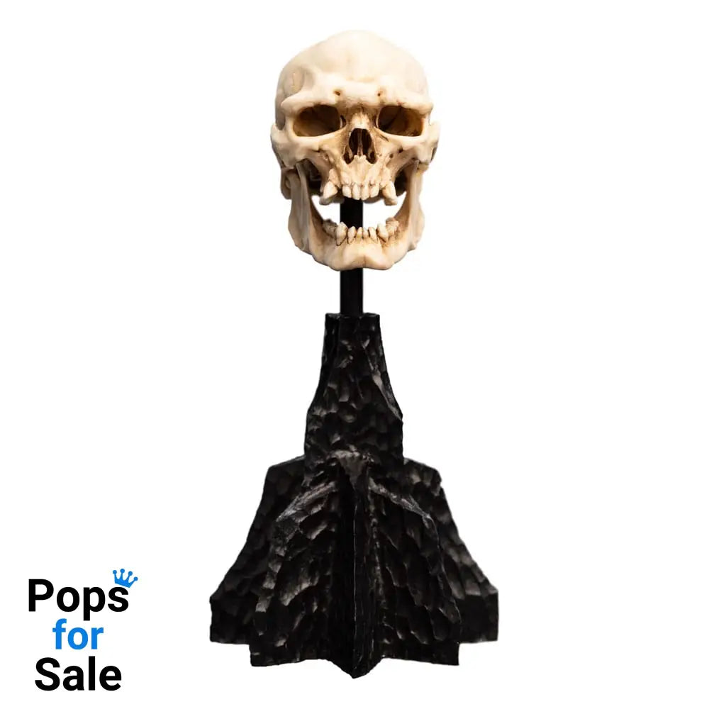 Lord of the Rings Mini Statue Skull of a Mordor Orc 14 cm