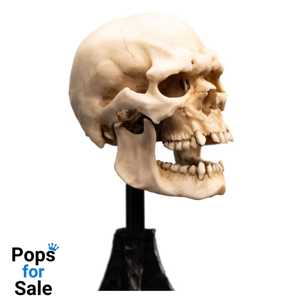 Lord of the Rings Mini Statue Skull of a Mordor Orc 14 cm