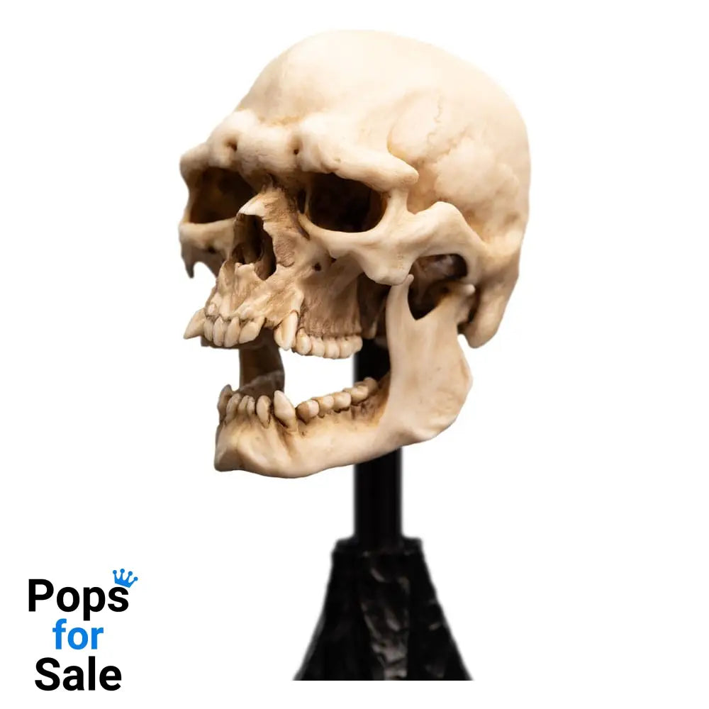 Lord of the Rings Mini Statue Skull of a Mordor Orc 14 cm