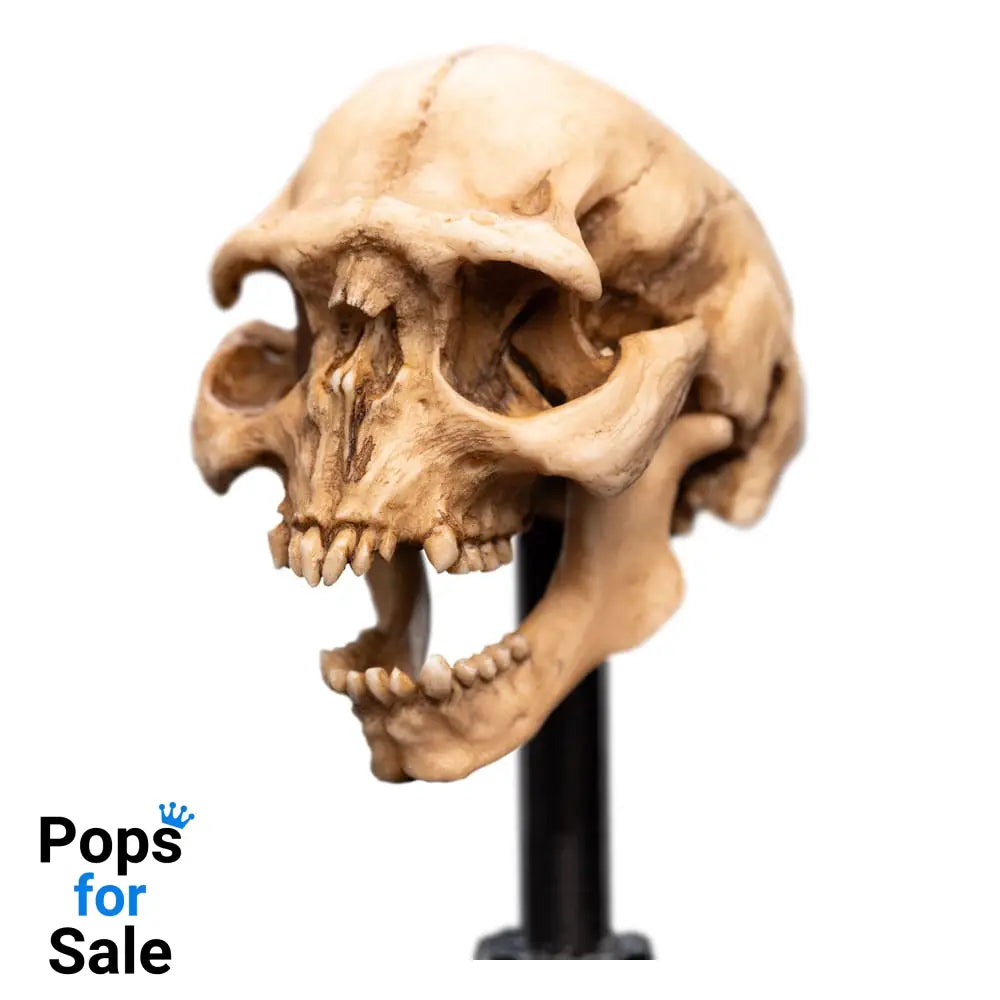 Lord of the Rings Mini Statue Skull of a Moria Orc 13 cm