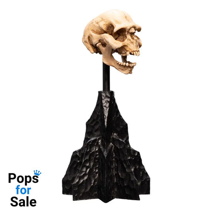 Lord of the Rings Mini Statue Skull of a Moria Orc 13 cm