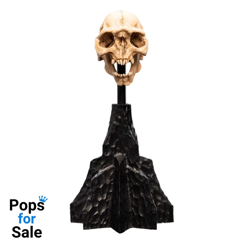 Lord of the Rings Mini Statue Skull of a Moria Orc 13 cm