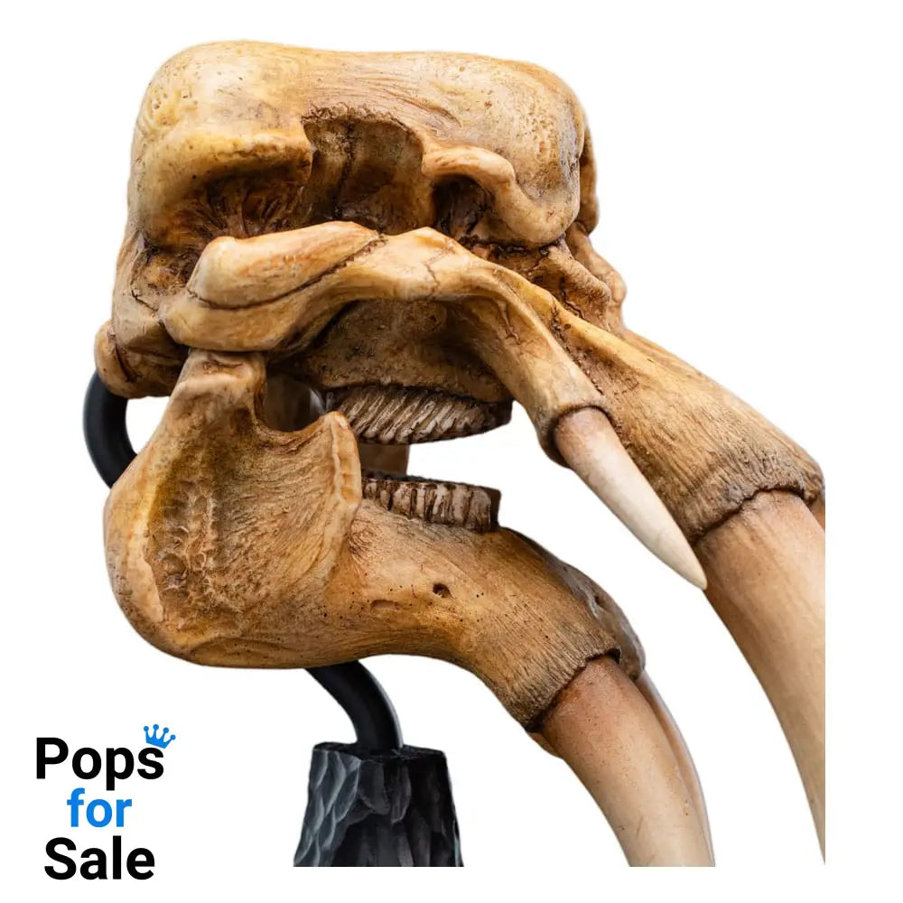 Lord of the Rings Mini Statue Skull of a Mumak 15 cm