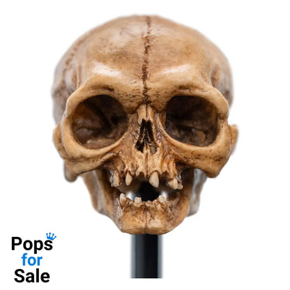 Lord of the Rings Mini Statue Skull of Gollum 13 cm