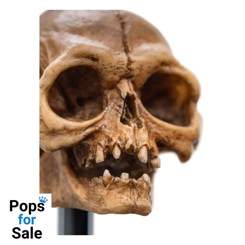 Lord of the Rings Mini Statue Skull of Gollum 13 cm