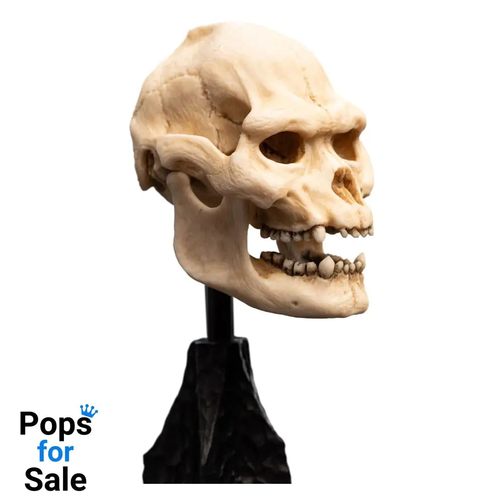 Lord of the Rings Mini Statue Skull of Lurtz 14 cm