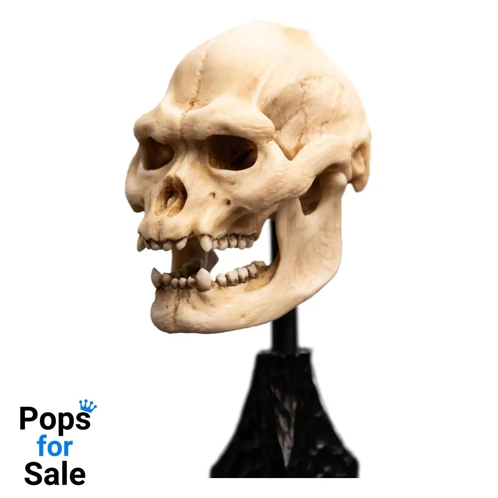 Lord of the Rings Mini Statue Skull of Lurtz 14 cm