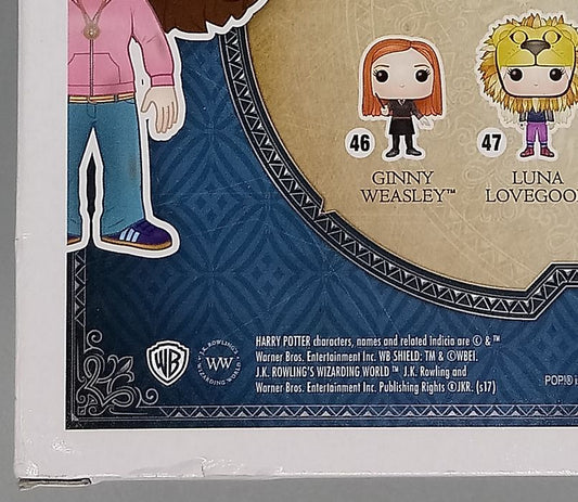 #43 Hermione Granger (w/ Time Turner) - Harry Potter Box Damaged Funko POP