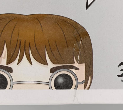 #32 Harry Potter (w/ Prophecy) - Harry Potter - Box Damaged Funko POP