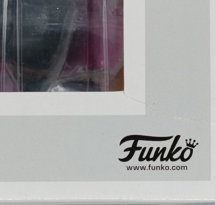 #23 Skeletor with Snake Mountain - Town Masters Of The Universe Box Damaged Funko POP