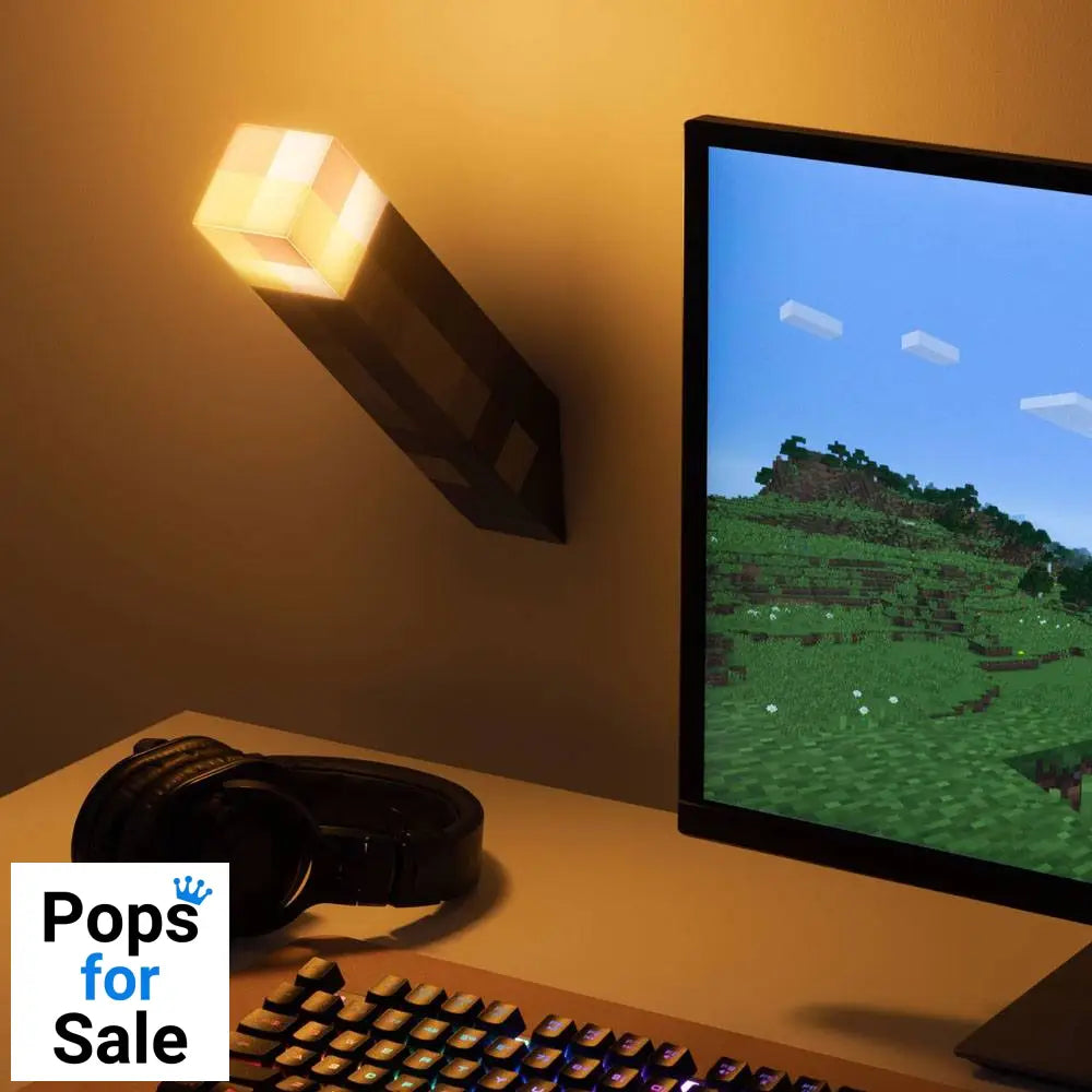 Minecraft Torch Light