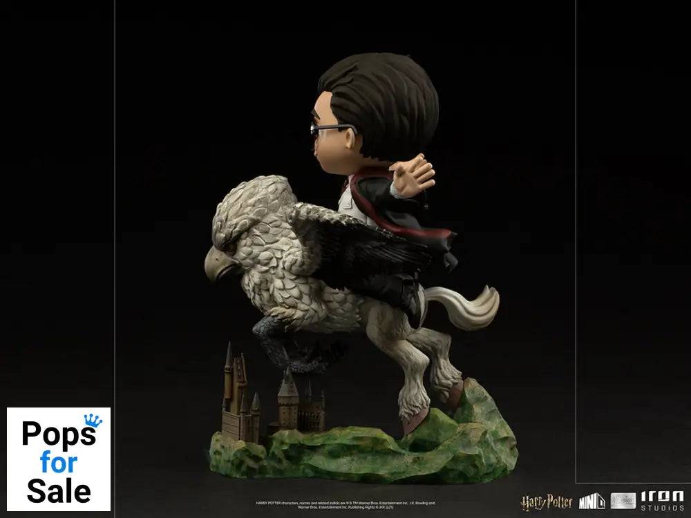 MiniCo Illusion Harry Potter and Buckbeak - Harry Potter Vinyl Figure