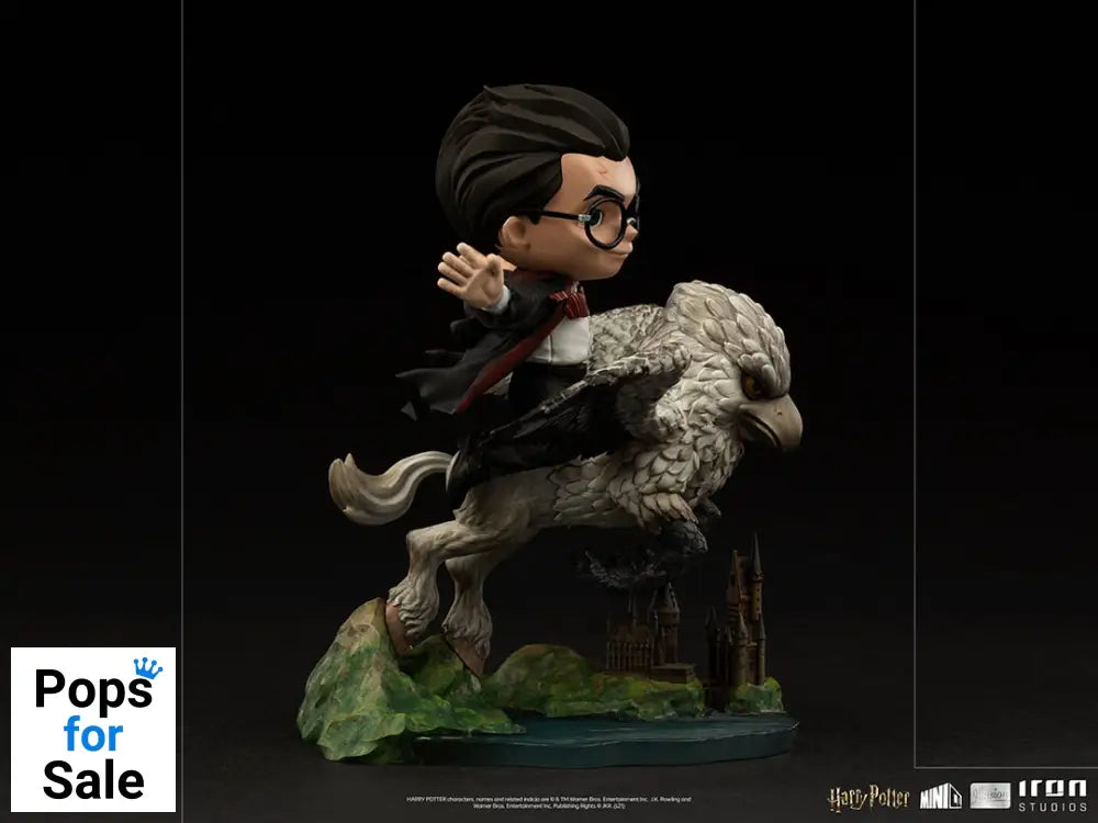 MiniCo Illusion Harry Potter and Buckbeak - Harry Potter Vinyl Figure