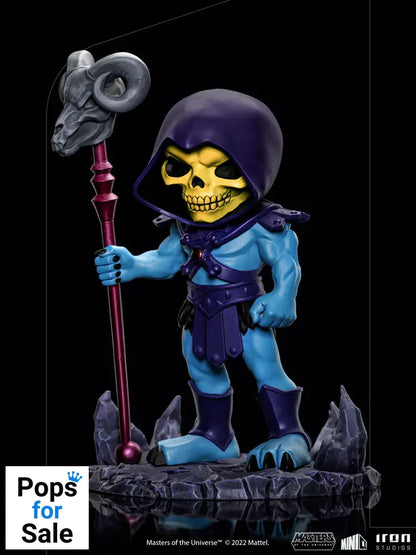 MiniCo Skeletor - Masters of the Universe Vinyl Figure