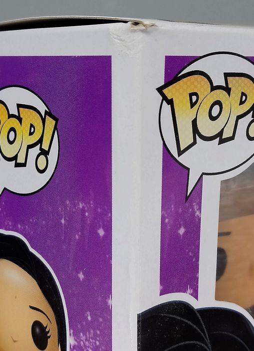 #197 Pocahontas - Disney - Box Damaged Funko POP