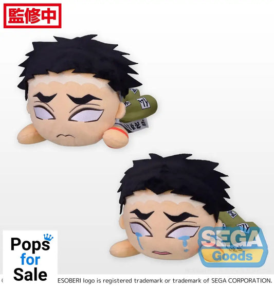 Nesoberi Gyomei Himejima Demon Slayer: Kimetsu no Yaiba Nesoberi