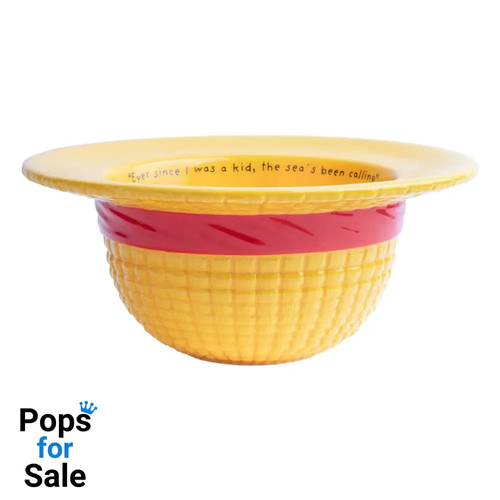 One Piece 3D Bowl Straw Hat
