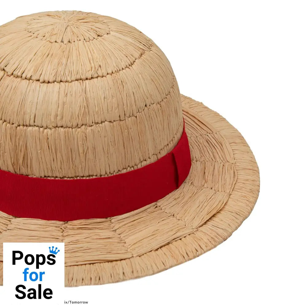 One Piece Hat Luffy Straw Hat Collector Edition