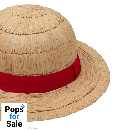 One Piece Hat Luffy Straw Hat Collector Edition