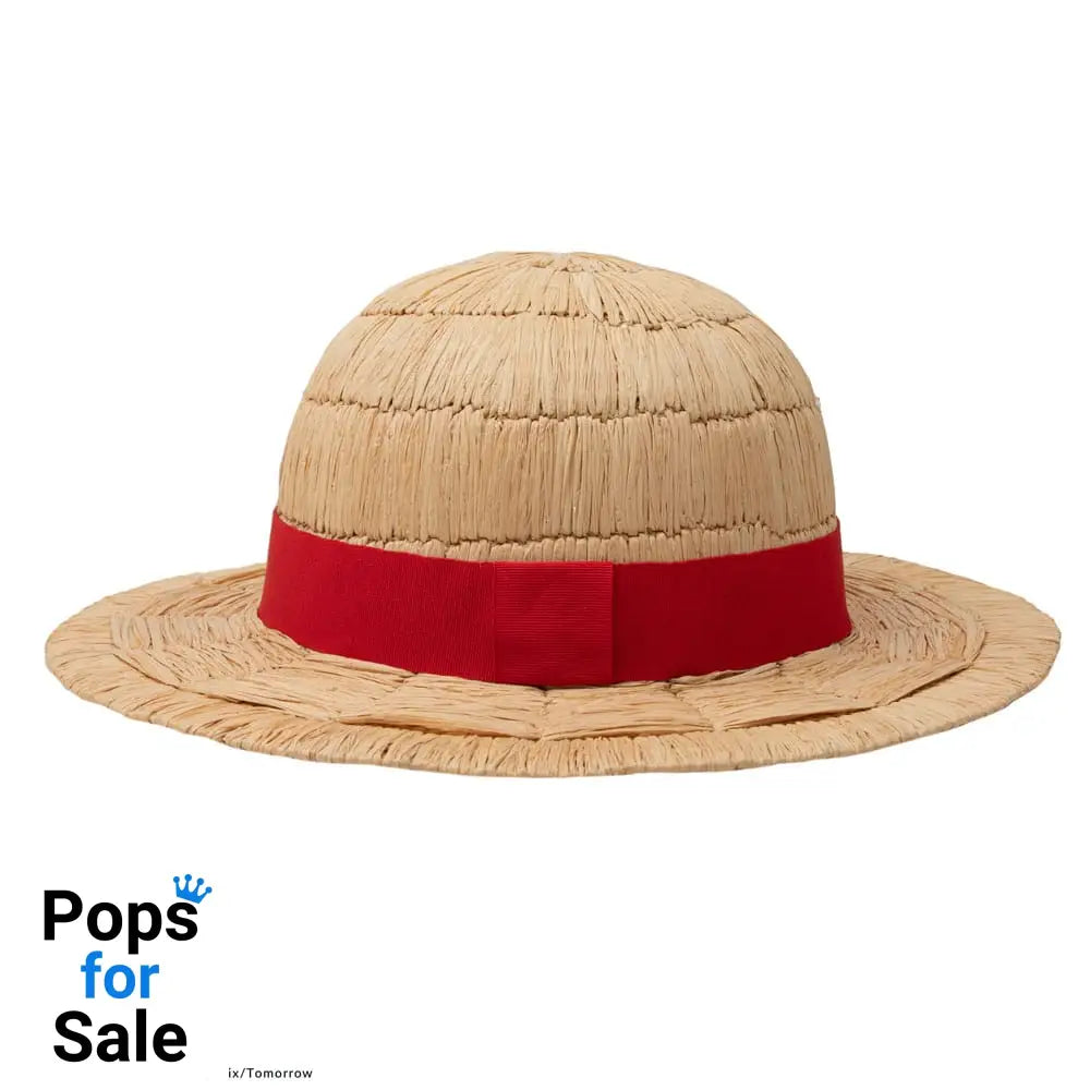 One Piece Hat Luffy Straw Hat Collector Edition