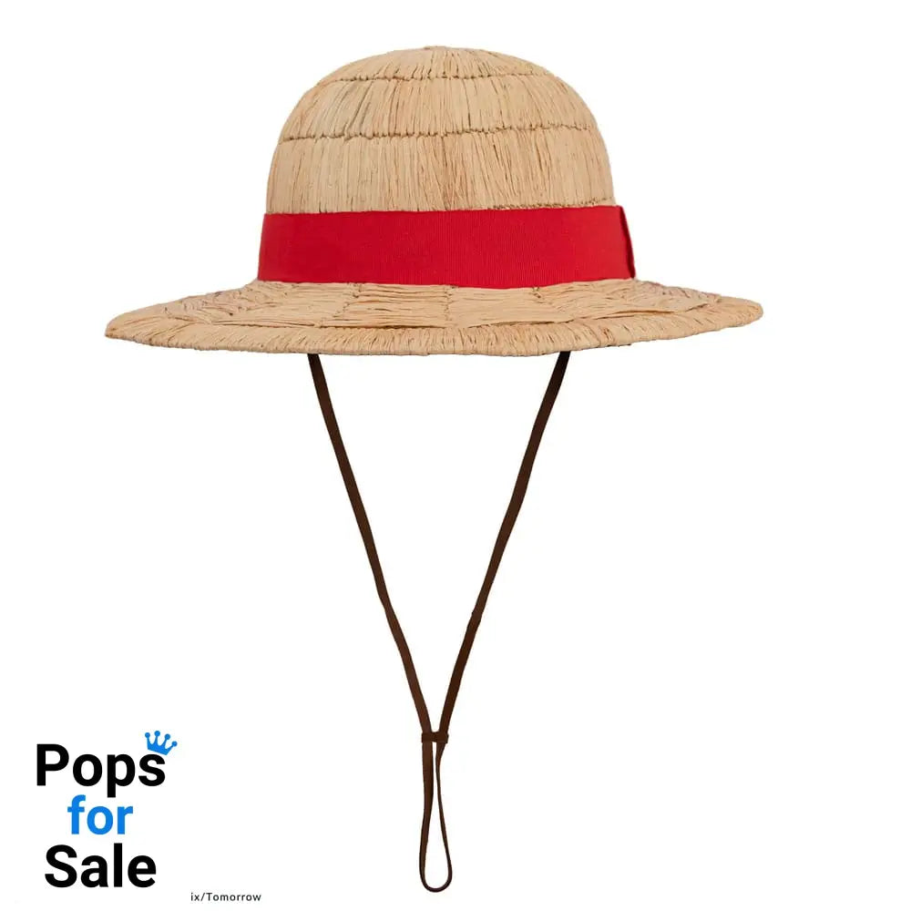 One Piece Hat Luffy Straw Hat Collector Edition