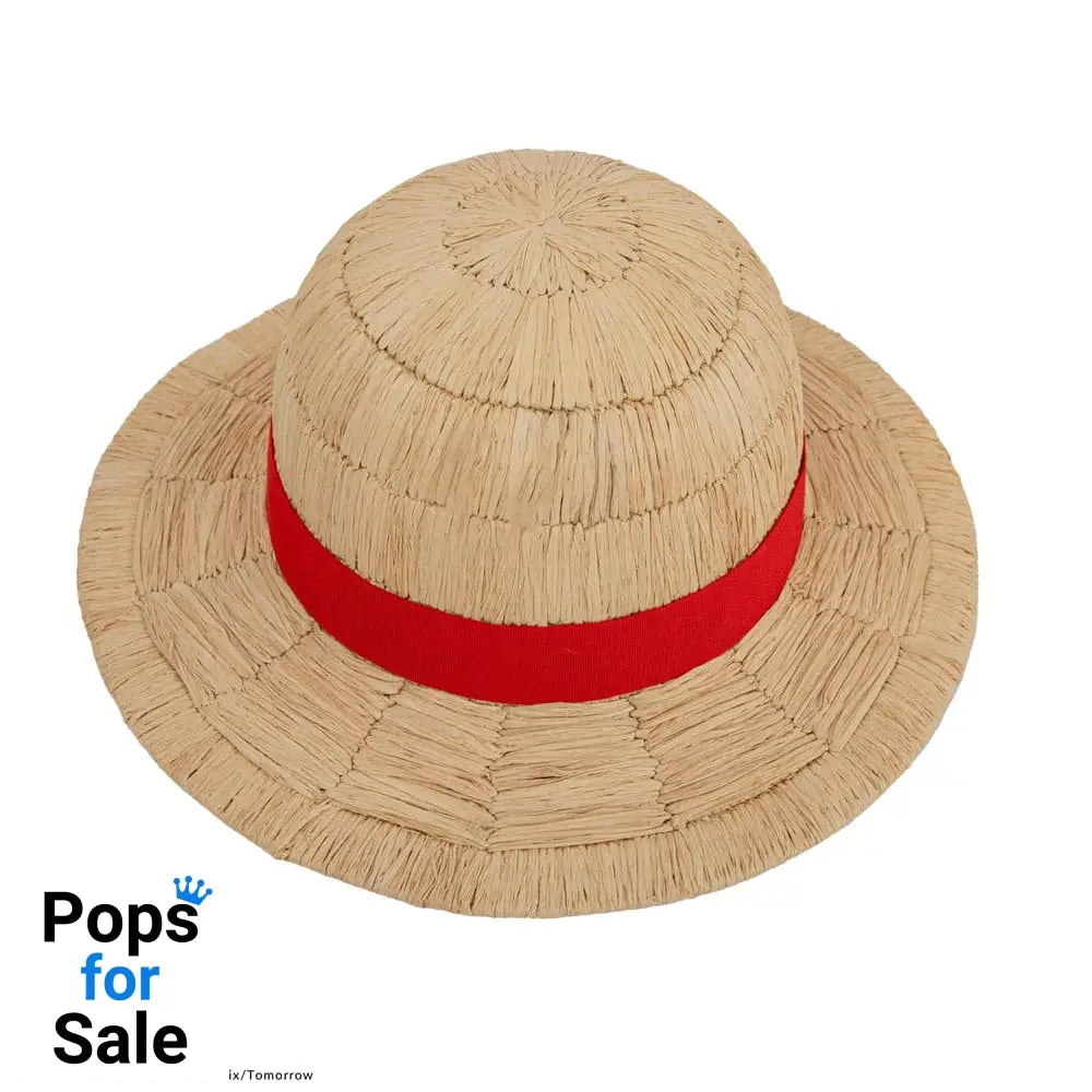 One Piece Hat Luffy Straw Hat Collector Edition