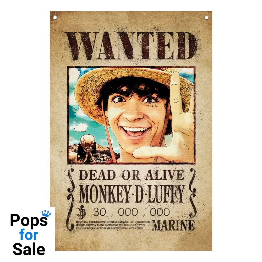 One Piece Wall Banner Luffy Wanted 120 x 85 cm Stationery