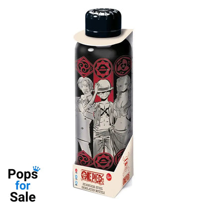 One Piece Water Bottle Character