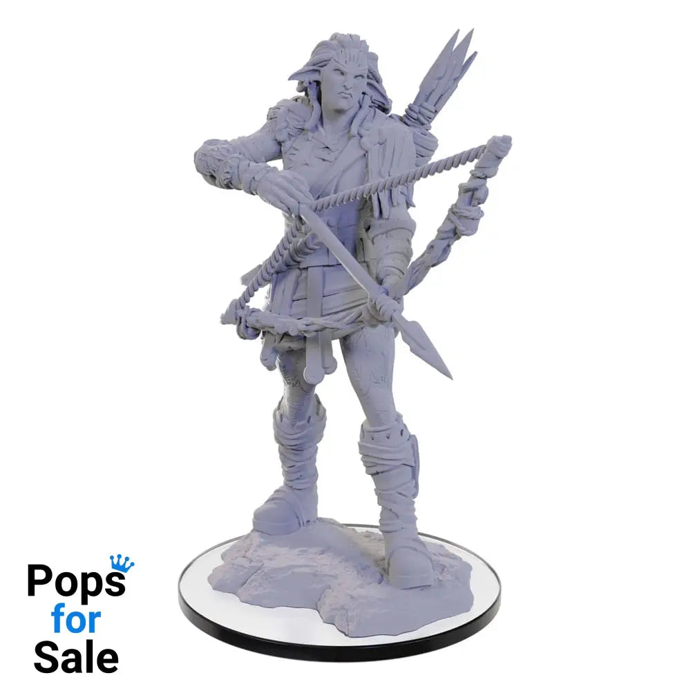 Pathfinder Deep Cuts Unpainted Miniature Wood Giant Miniature Gaming & Tabletop
