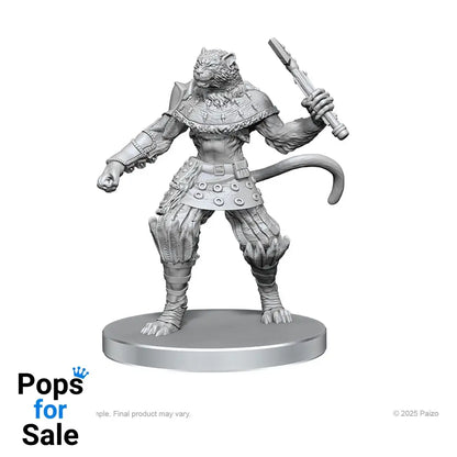 Pathfinder Deep Cuts Unpainted Miniatures Elf Hunter & Catfolk Bandit