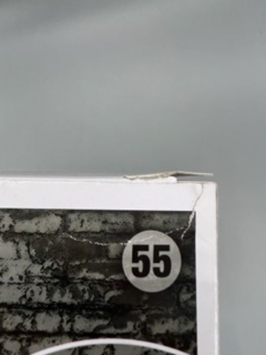 #55 Joey Ramone - Rocks - Ramones - Box Damaged Funko POP