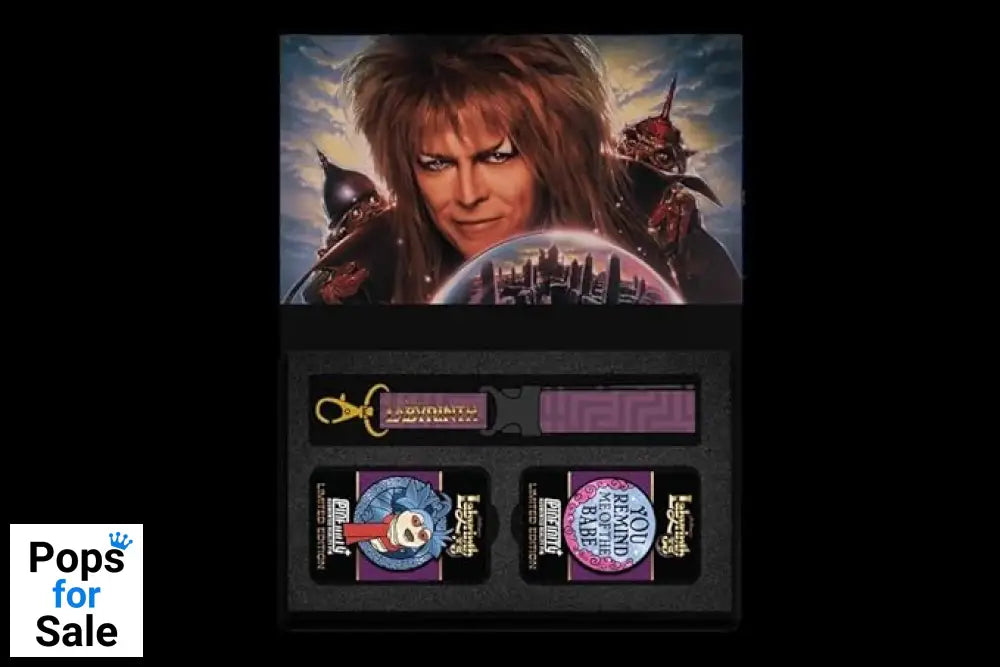 Pinfinity AR Pin: Labyrinth Pinfinity + PPJHLSET001 Pin