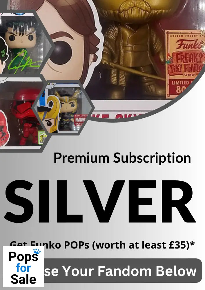 Premium Funko Pop Mystery Box - Subscription Only Silver / Anime