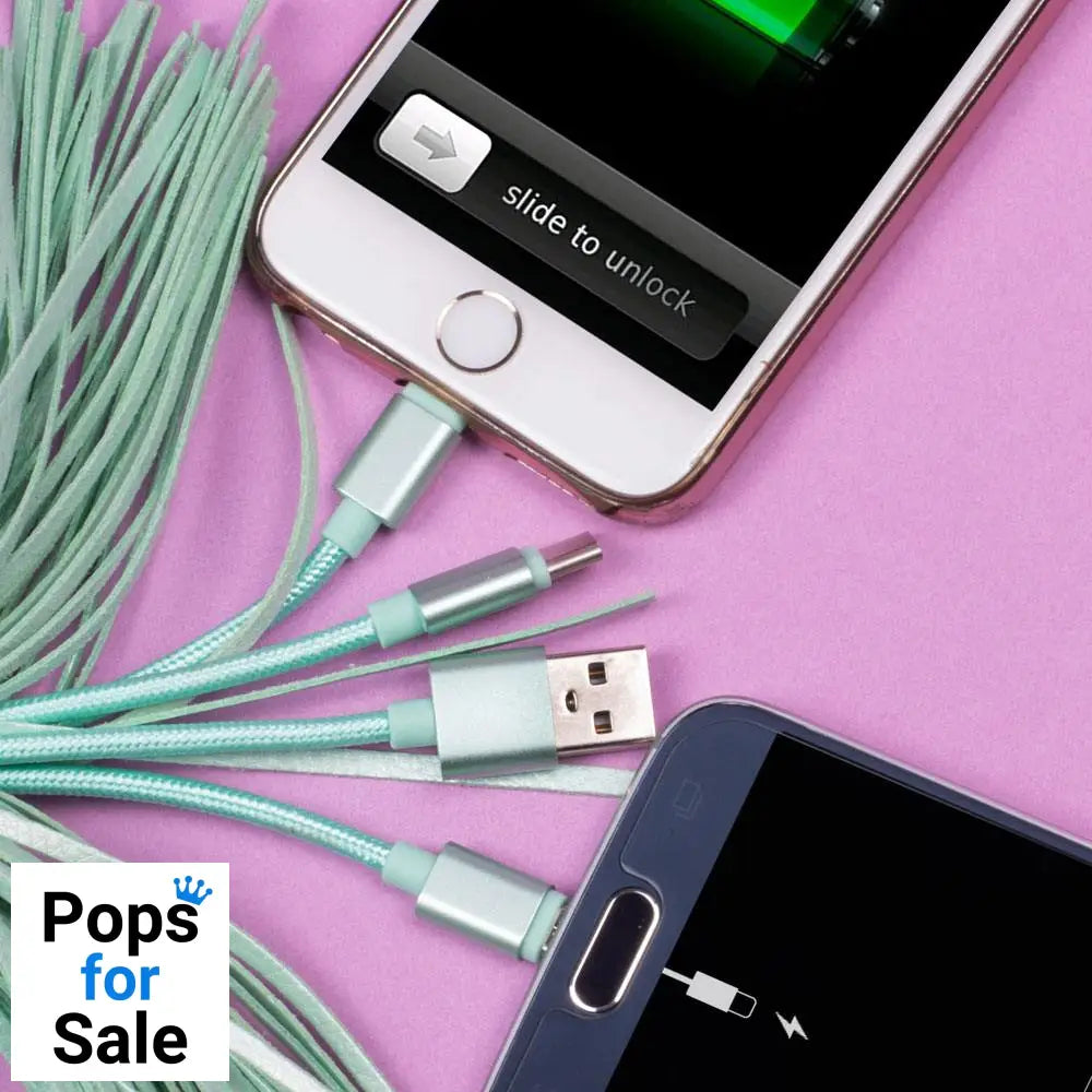 Pusheen USB Charging Cable 3in1 with Keychain Tassel