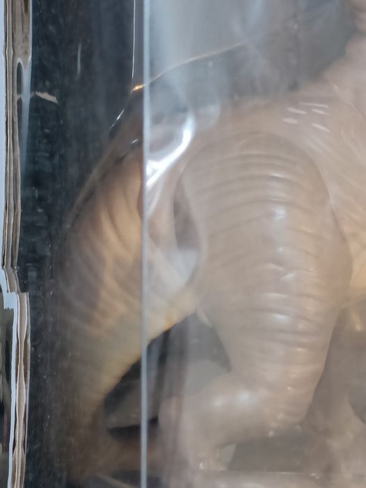 #1222 T.Rex - 10 Inch - Jurassic World Dominion Box Damaged Funko POP