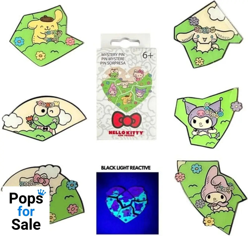 Sanrio by Loungefly Enamel Pins Blind Box Hello Kitty & Friends Flower Crown Puzzle Display (12)