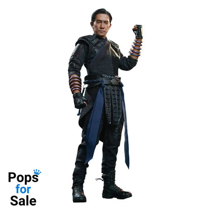 Shang-Chi and the Legend of the Ten Rings Movie Masterpiece Action Figure 1/6 Wenwu 28 cm