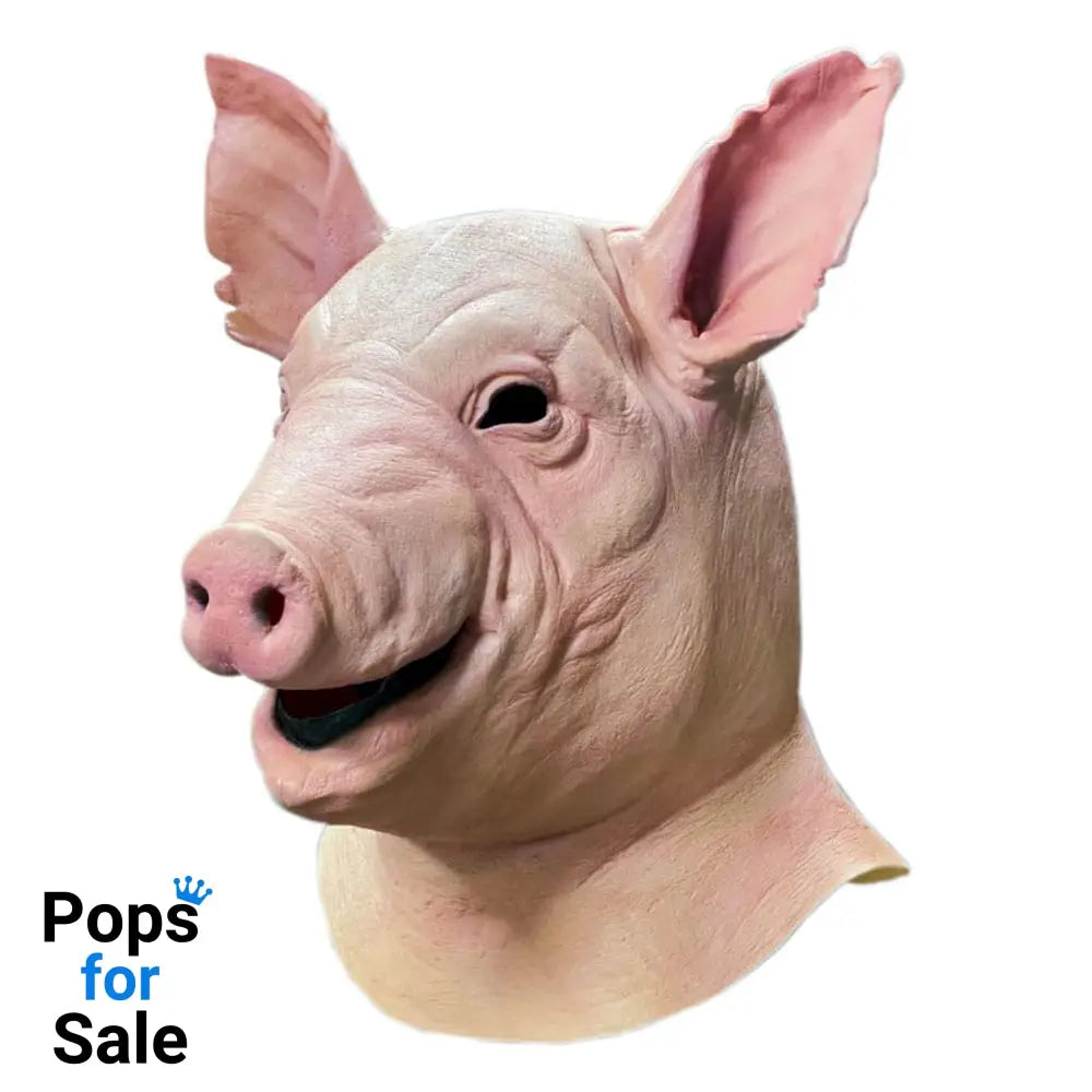 Spiral Mask Pig