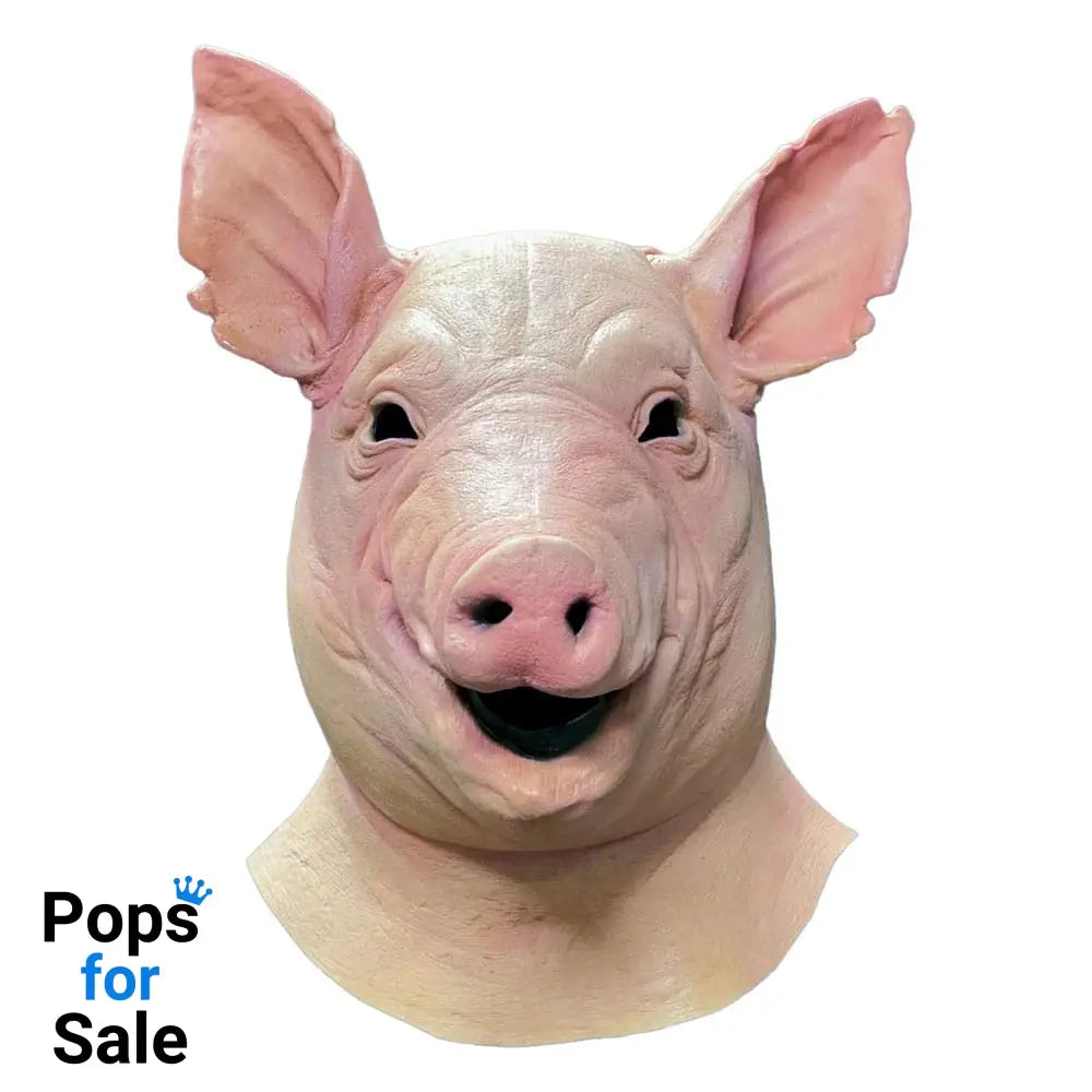 Spiral Mask Pig Helmets & masks