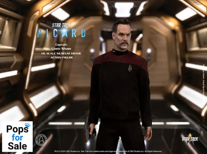 Star Trek: Picard Action Figure 1/6 Captain Liam Shaw 30 cm