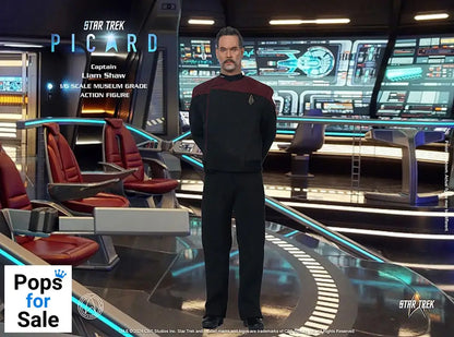 Star Trek: Picard Action Figure 1/6 Captain Liam Shaw 30 cm