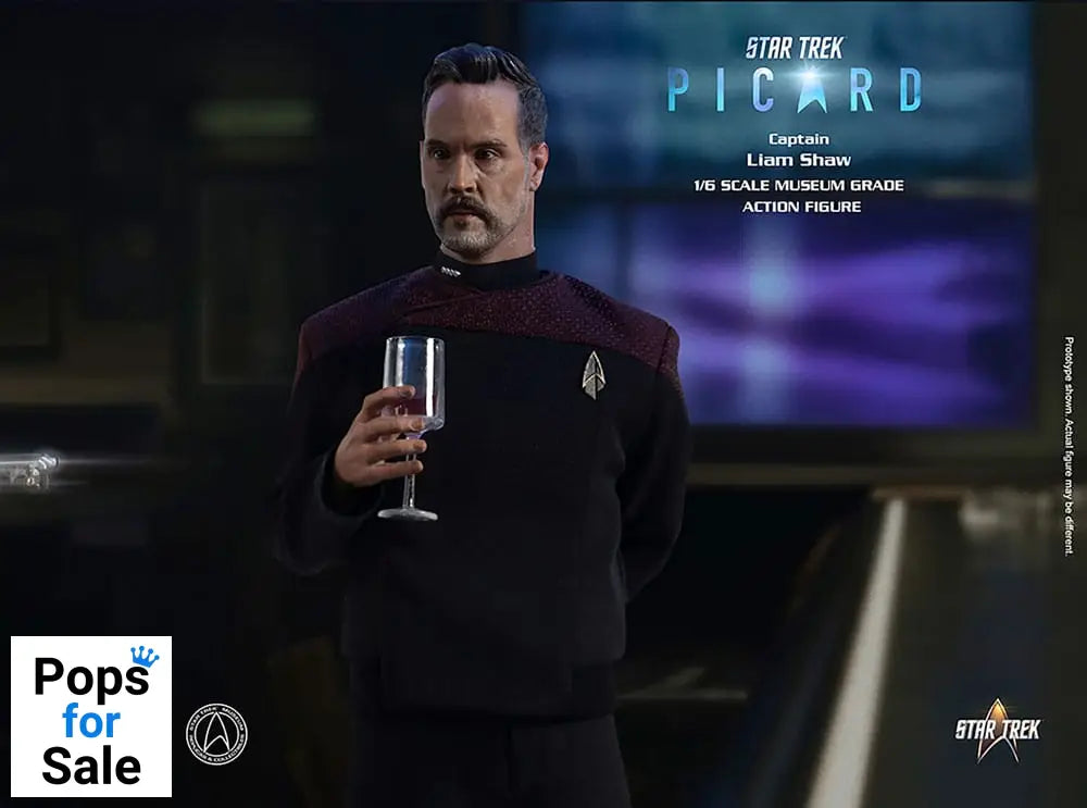 Star Trek: Picard Action Figure 1/6 Captain Liam Shaw 30 cm Action figures