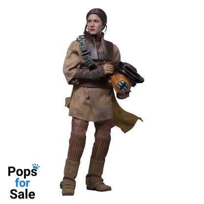 Star Wars Episode VI Movie Masterpiece Action Figure 1/6 Leia Organa (Boushh Disguise) 27 cm